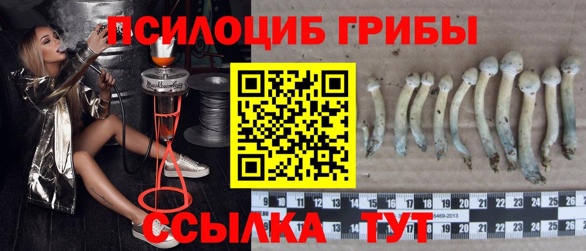 Псилоцибиновые грибы Magic Shrooms Протвино